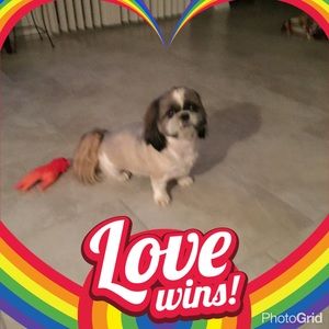 Meet your Posher, Randi